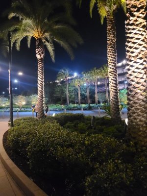 20220925_211909.jpg