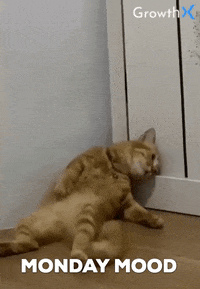 1666009744651.gif