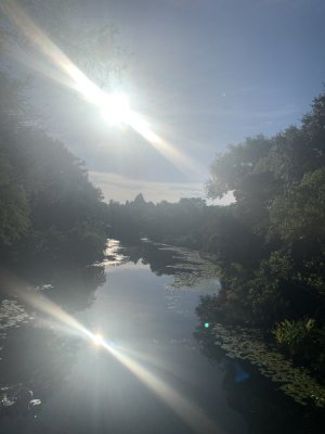 IMG_1450.JPEG