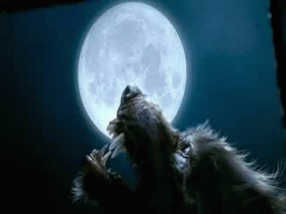 CC7B3672-6CAF-4285-8B5B-BFB503C6EF2E.gif