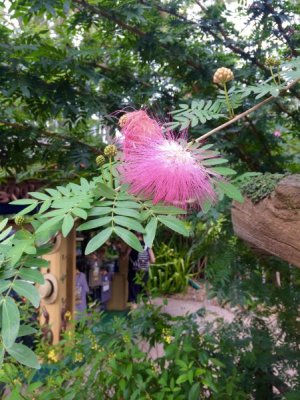 DC8F0BED-8B99-407D-BDAE-2E59E6825D7F.jpeg