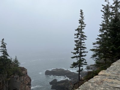 424304EA-AC0B-4666-B247-B389880A0136.jpeg