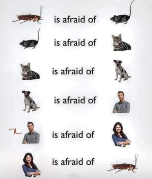 1666290156691.png