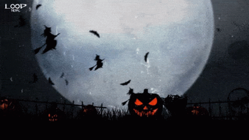 EE8FC094-4052-4791-8980-8CF0B005EC1B.gif