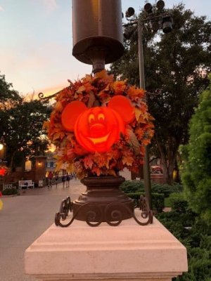 Magic-Kingdom-reopening-fall-9.jpg