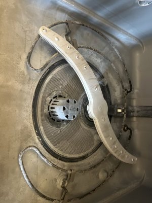 9B294A4A-0050-4DDA-A4C6-4402C72C70CB.jpeg