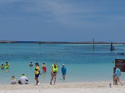 IMG_20220624_120135924.jpg