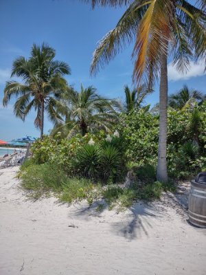 IMG_20220624_133427770_HDR.jpg