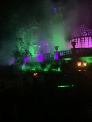 IMG_1503.JPEG