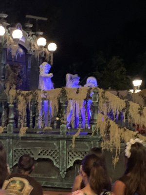IMG_1511.JPEG