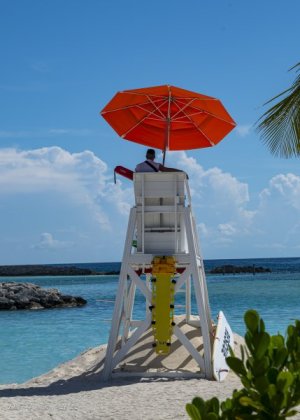 DSC_2532-Edit.jpg