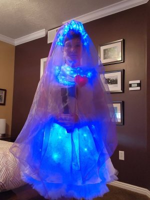 hmb_light_cover.jpg