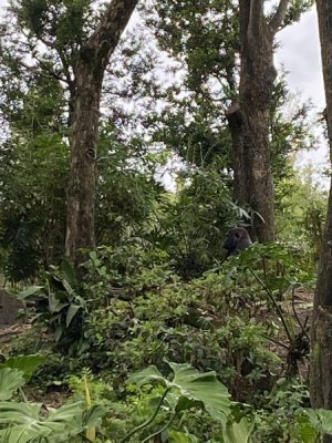 IMG_3849.JPEG