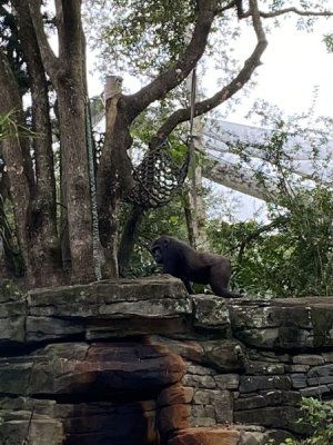 IMG_3854.JPEG