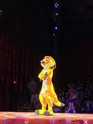 IMG_3898.JPEG