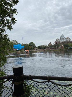 IMG_3907.JPEG