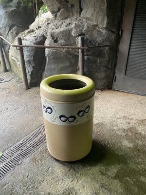 IMG_3933.JPEG