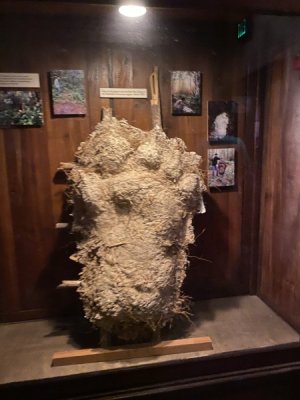 IMG_3942.JPEG
