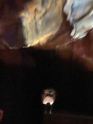 IMG_3951.JPEG