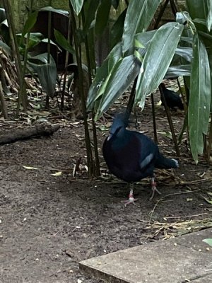 IMG_3980.JPEG