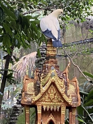 IMG_3981.JPEG