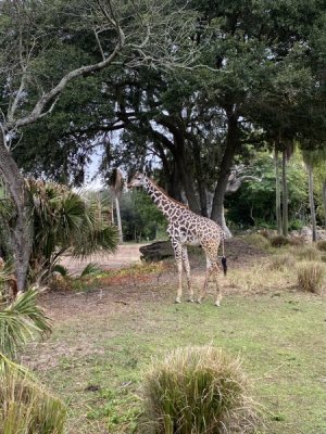 IMG_3999.JPEG