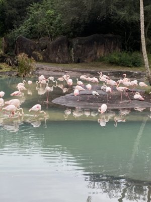 IMG_4002.JPEG