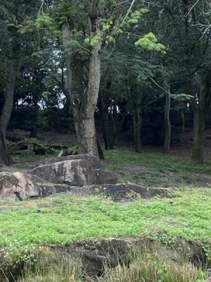 IMG_4005.JPEG