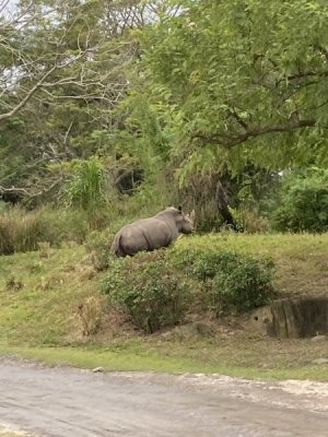 IMG_4008.JPEG