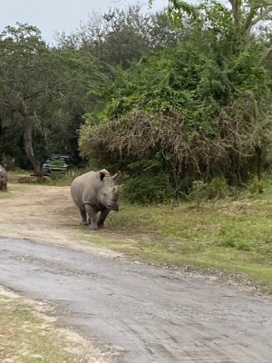 IMG_4009.JPEG
