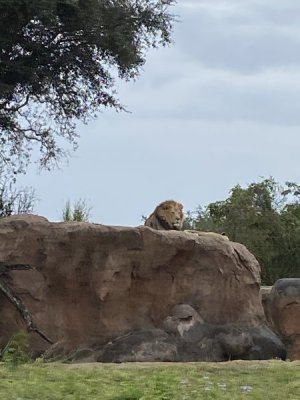 IMG_4010.JPEG