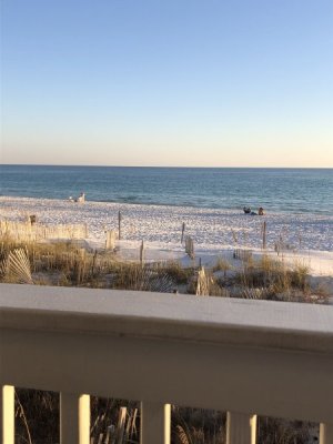 449691D8-AF14-461F-B382-4112B00396D0.jpeg