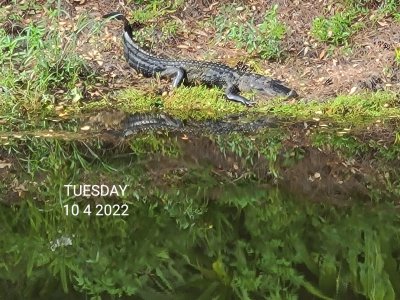 Florida 2022.2 (33).jpg