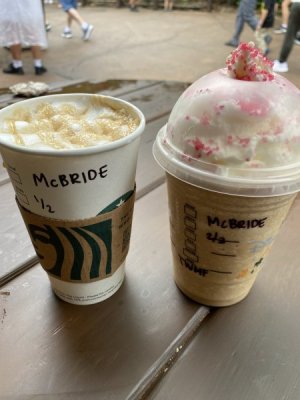 IMG_4019.JPEG