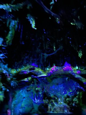 IMG_4035.JPEG