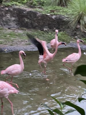 IMG_4043.JPEG