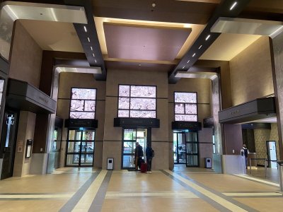IMG_6667.JPG