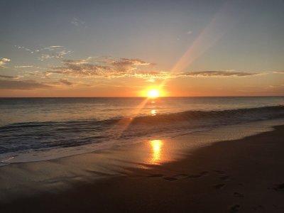 842F5438-05D5-45A0-83DB-DAE6A89813A6.jpeg