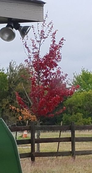 20221028_162555.jpg