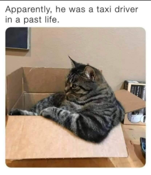 1667040375923.png
