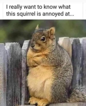 FB_IMG_1667048073539.jpg
