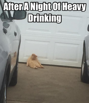 1667144440441.png