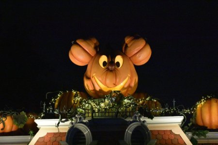 DSC_0088.JPG