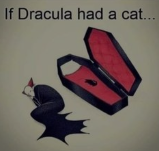 1667230326486.png