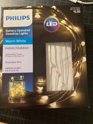 Little Christmas Lights.jpg