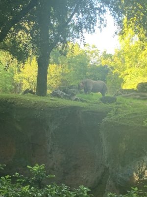 IMG_1559.JPEG