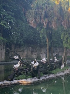 IMG_1560.JPEG