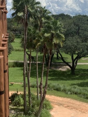 IMG_1581.JPEG
