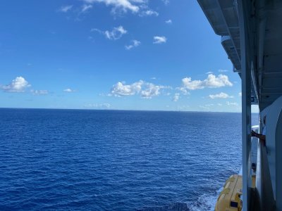 IMG_6391.jpeg