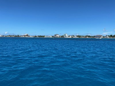 IMG_6421.jpeg